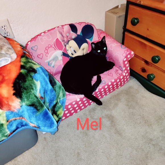 Meet your Posher, Mary - Picture 4 of 5